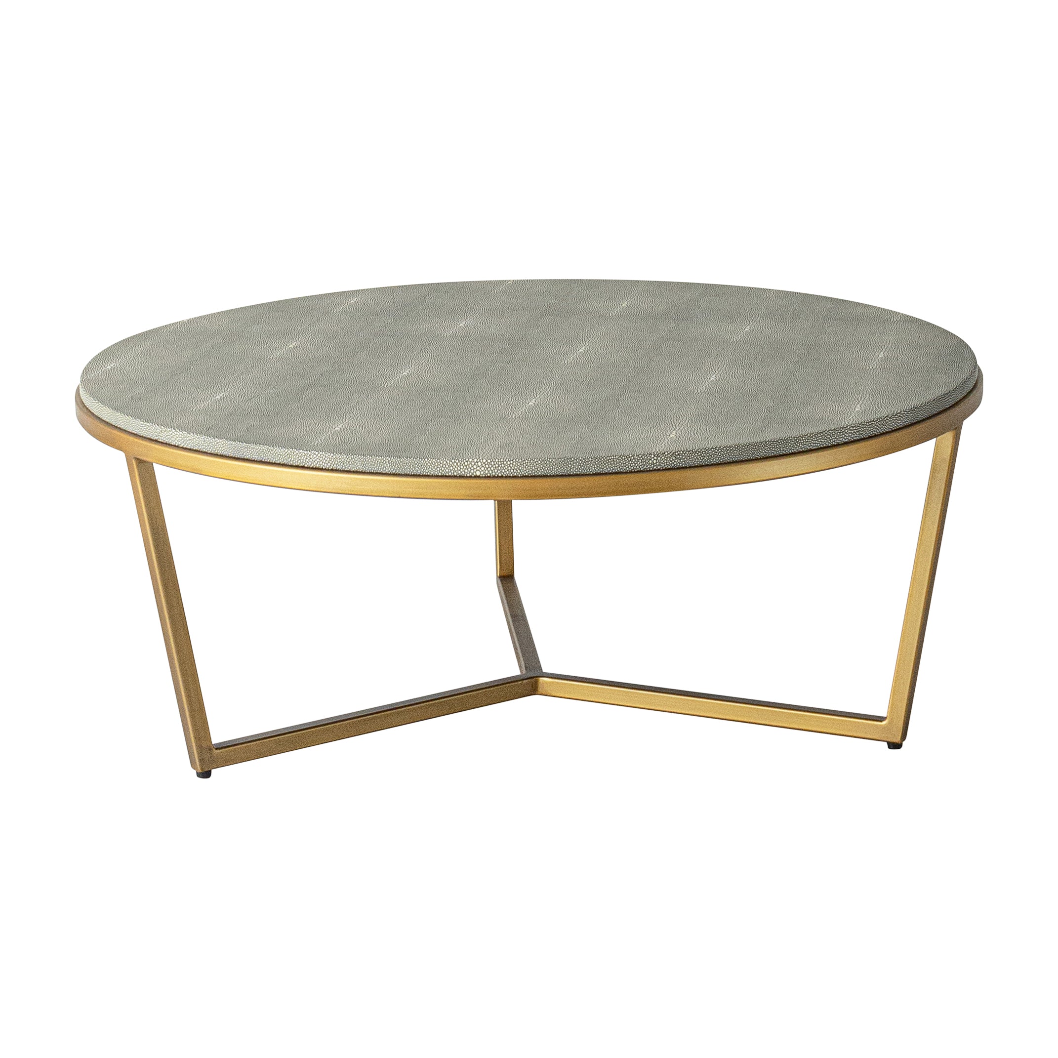 Anette 2 piece Marble and Shagreen Coffee Table