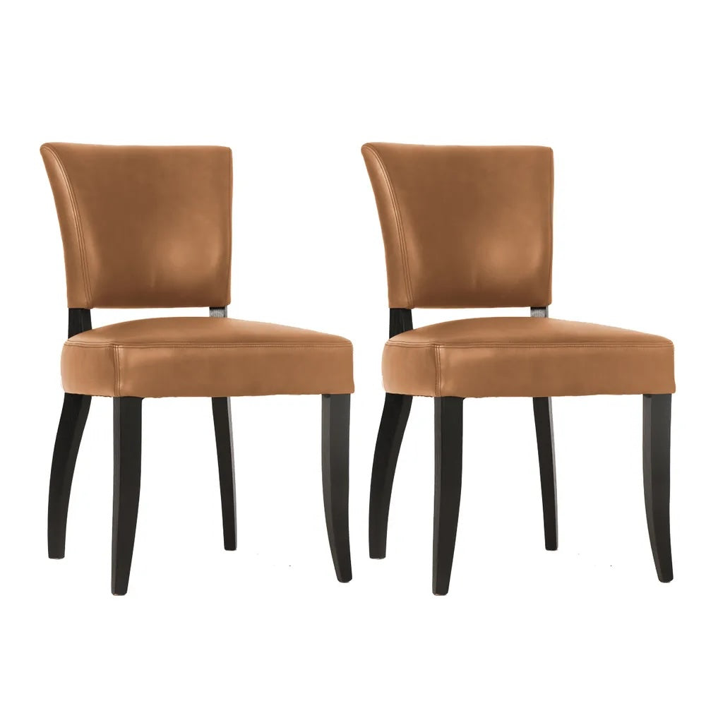 Noah Dining Chair Set of 2